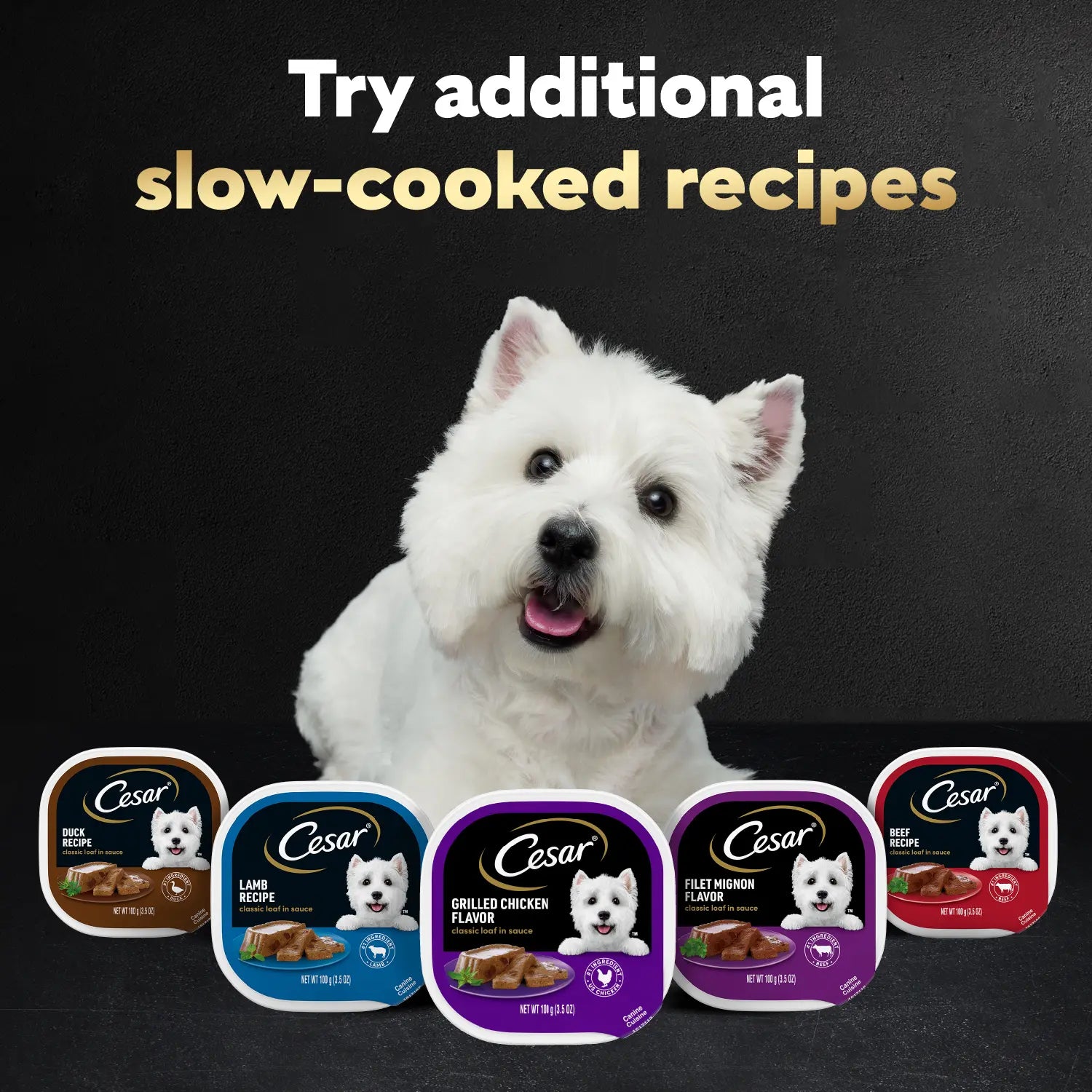 Product Family Cesar Classic Loaf in Sauce Adult Wet Dog Food Chicken & Liver 3.5-oz
