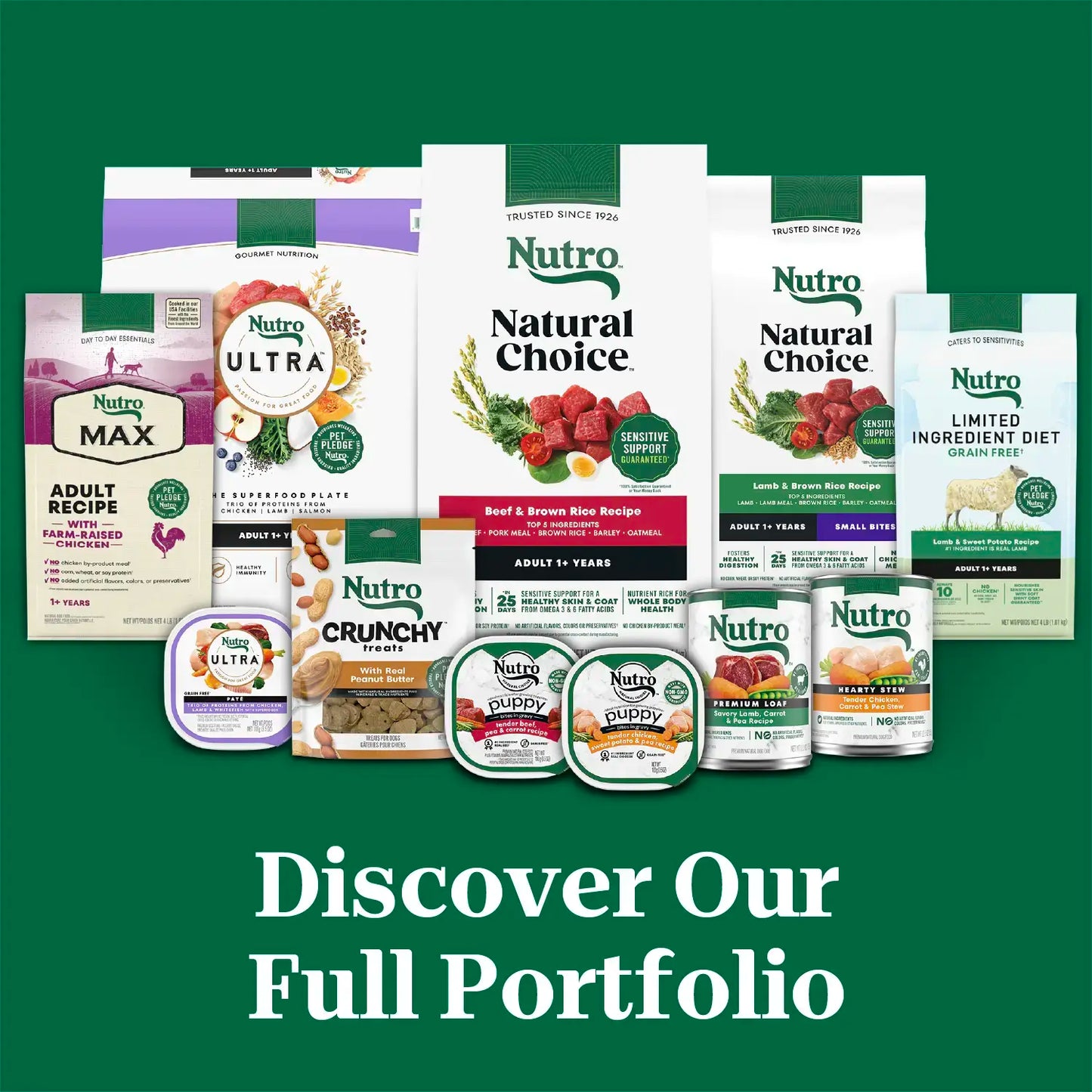 Product Family of Nutro Natural Choice Lamb & Brown Rice Small Bites Adult Dry Dog Food 5-lb