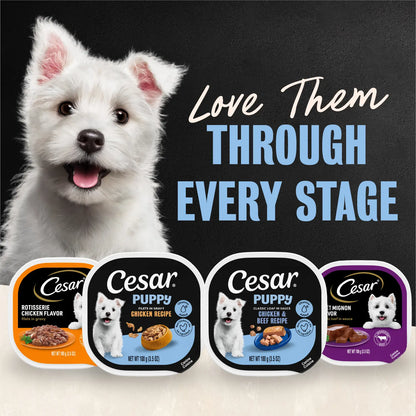 Product Family of Cesar Classic Loaf in Sauce Puppy Wet Dog Food Chicken & Beef 3.5-oz