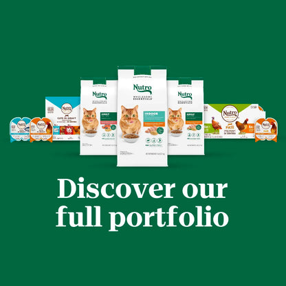 Product Family of Nutro Wholesome Essentials Chicken & Brown Rice Recipe Senior Dry Cat Food 5-lb