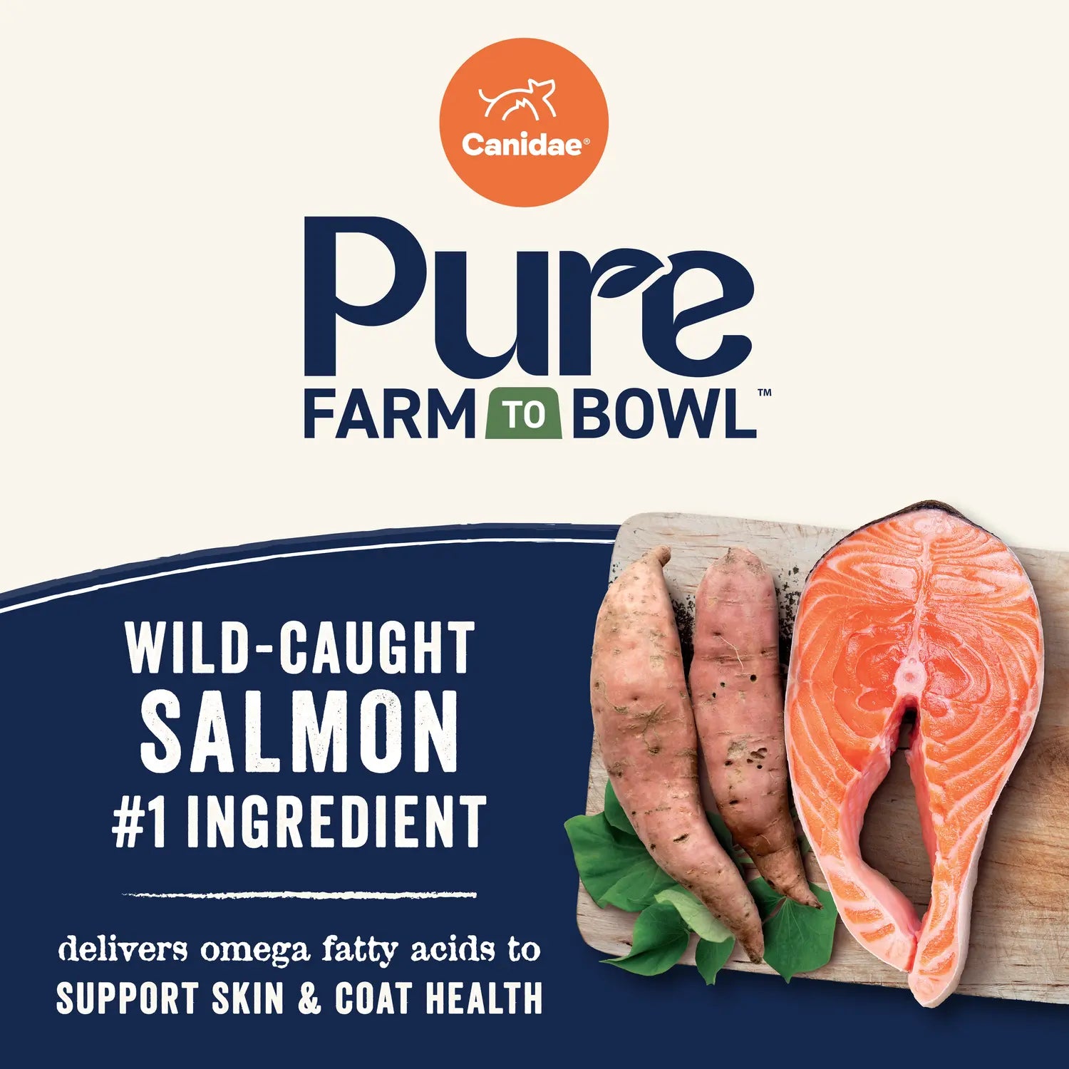 Protein Detail of Canidae Pure Goodness Grain-Free Puppy Dry Food Real Salmon & Sweet Potato Recipe 4-lb