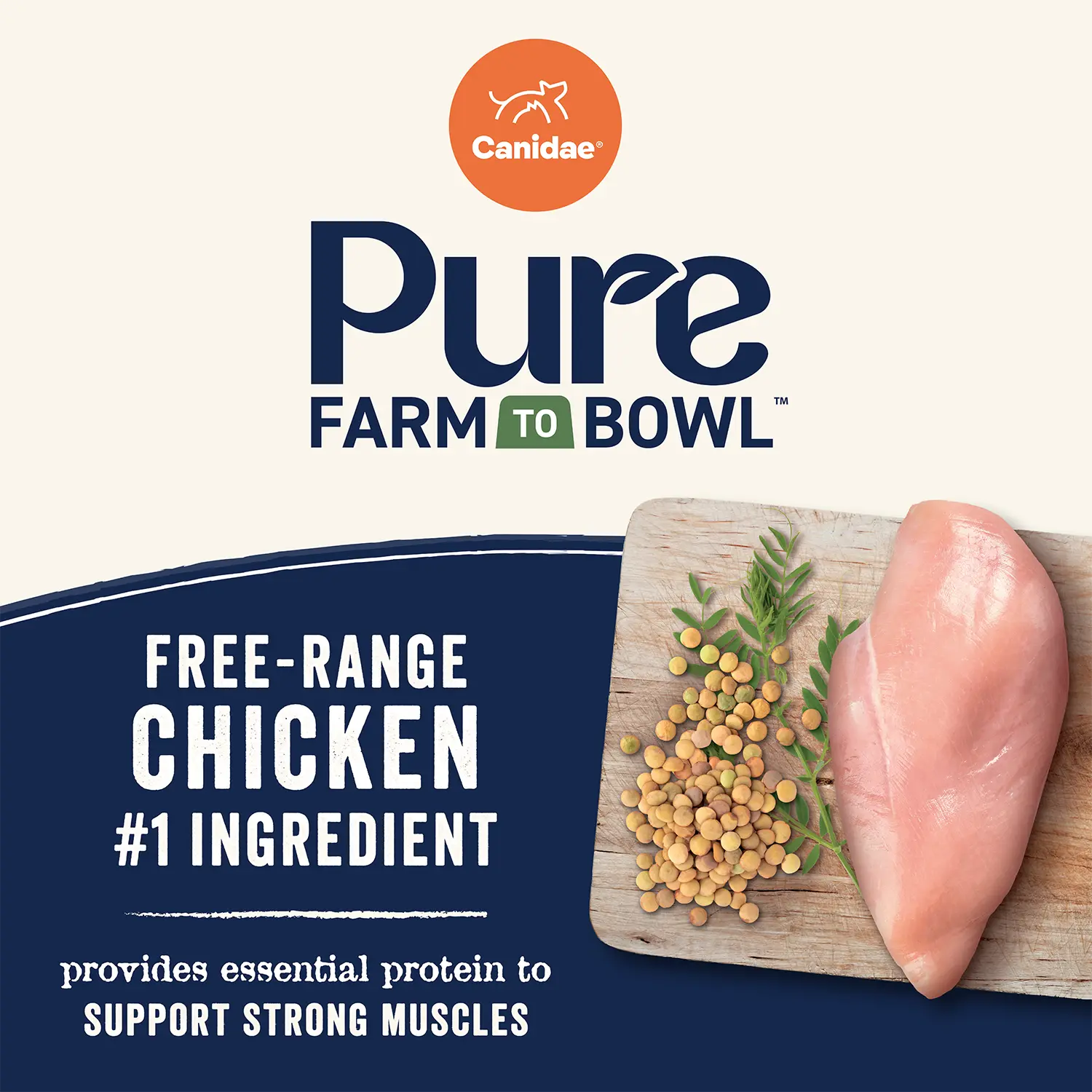 Protein Detail of Canidae Pure Goodness Grain-Free Limited Ingredient Adult Dry Dog Food Real Chicken, Lentil & Potato Recipe 4-lb