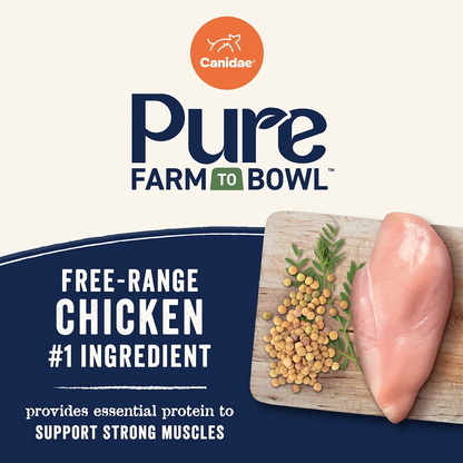 Protein Detail of Canidae Pure Goodness Grain-Free Limited Ingredient Adult Dry Dog Food Real Chicken, Lentil & Potato Recipe 4-lb