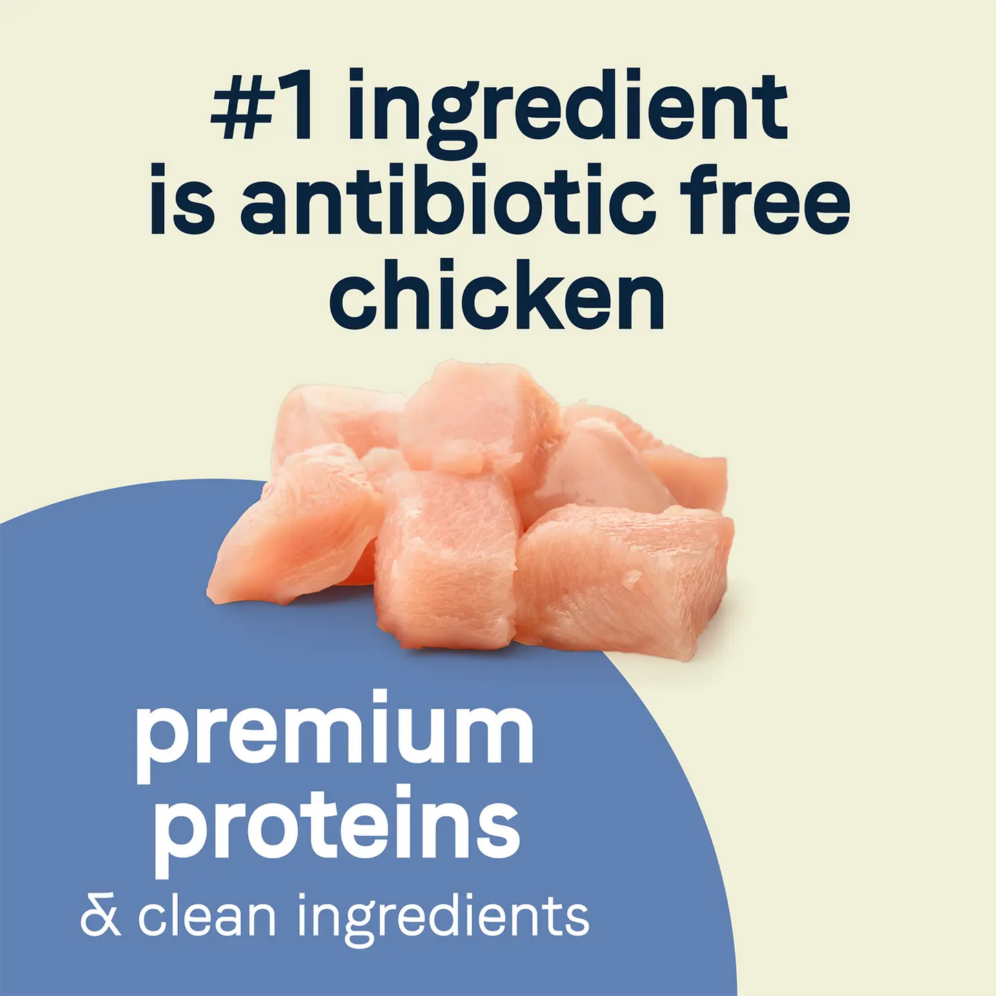 Protein Detail of CANIDAE PURE Petite Goodness for Small Breed Freeze-Dried Raw Coated Adult Dry Dog Food Chicken 4-lb