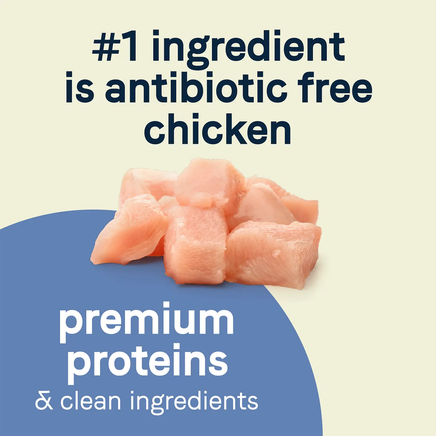 Protein Detail of CANIDAE PURE Petite Goodness for Small Breed Freeze-Dried Raw Coated Adult Dry Dog Food Chicken 4-lb