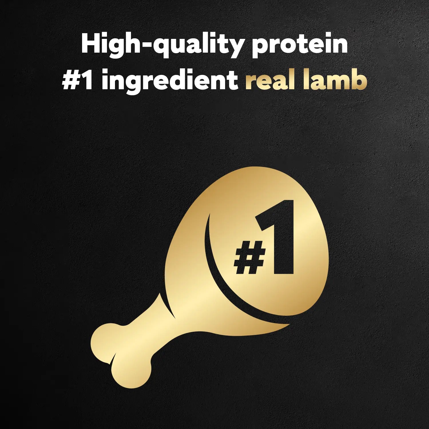 Protein Info of Cesar Classic Loaf in Sauce Adult Wet Dog Food Lamb 3.5-oz