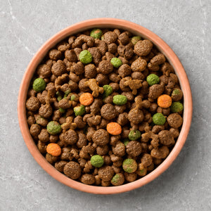 Puppy Food