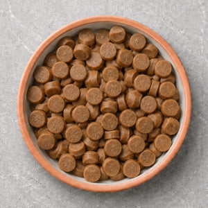  Puppy Training Treats