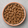  Puppy Training Treats
