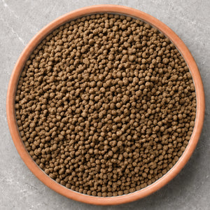 Saltwater Food