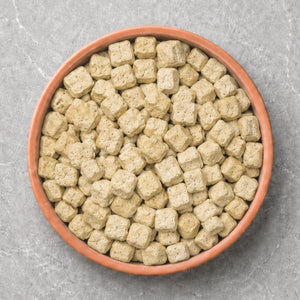 Senior Dog Food