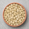 Senior Dog Food