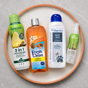  Shampoo
