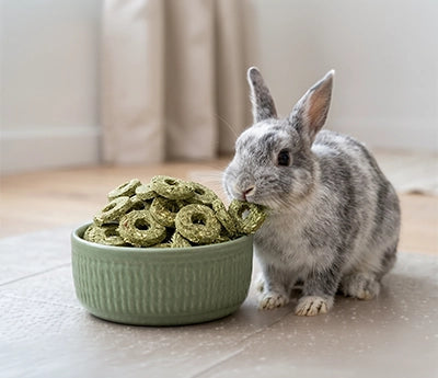 Treats & Chews