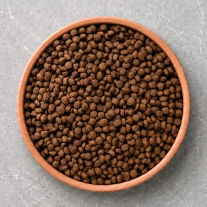 Small Breed Dog Food