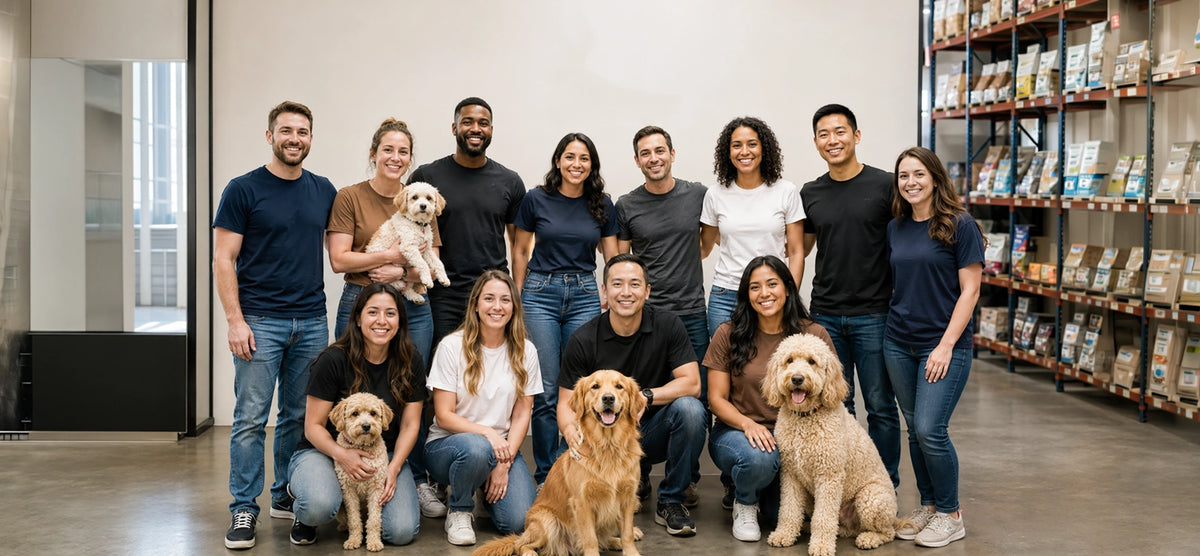 Kwik Pets journey timeline image
