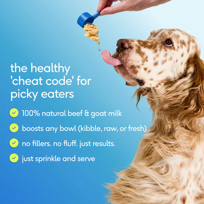 Native Pet The Daily Powder 11-in-1 Supplement for Dogs 7-oz, Kwik Pets