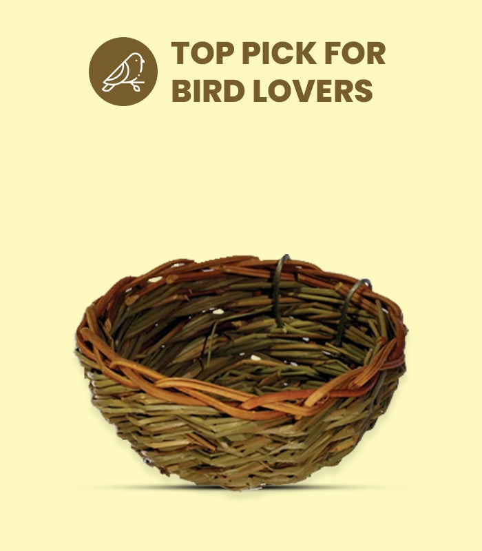Bird Nesting
