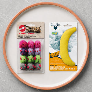Toys & Accessories