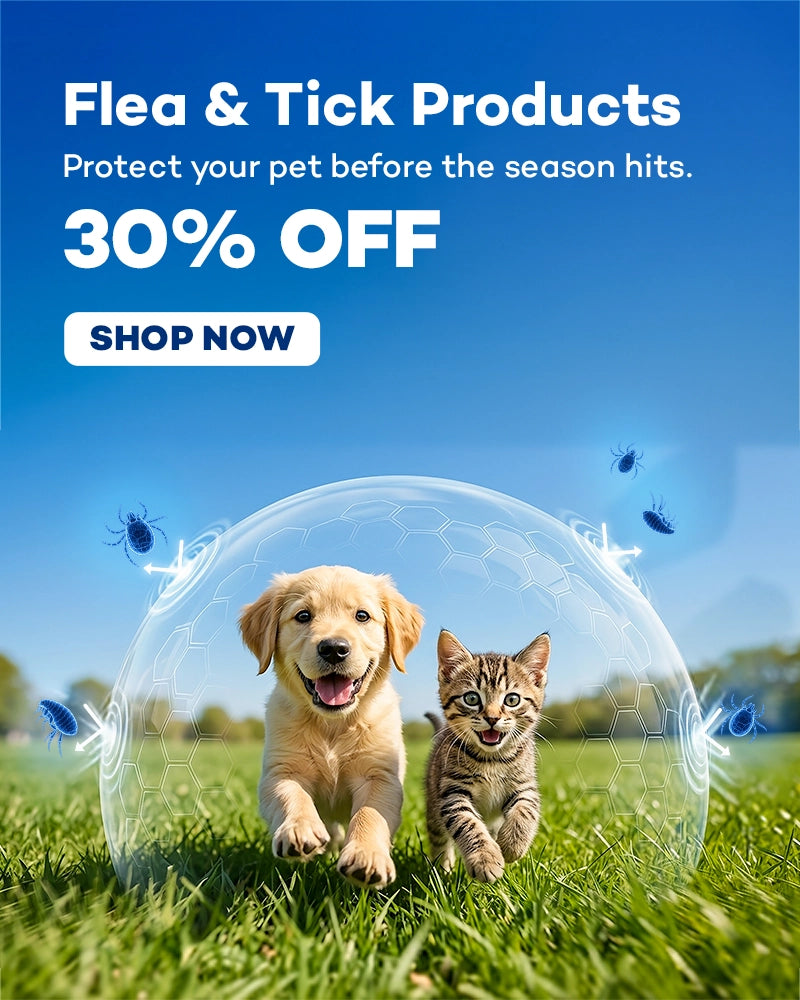 Member Days Sale