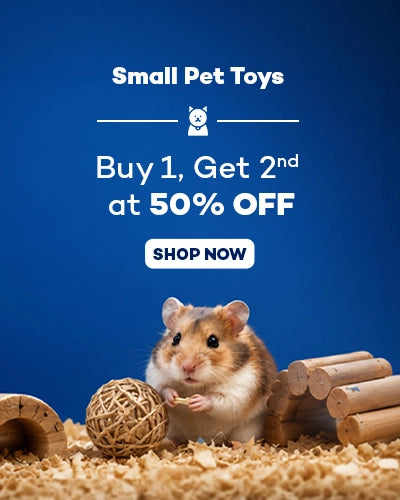 Member Days Sale