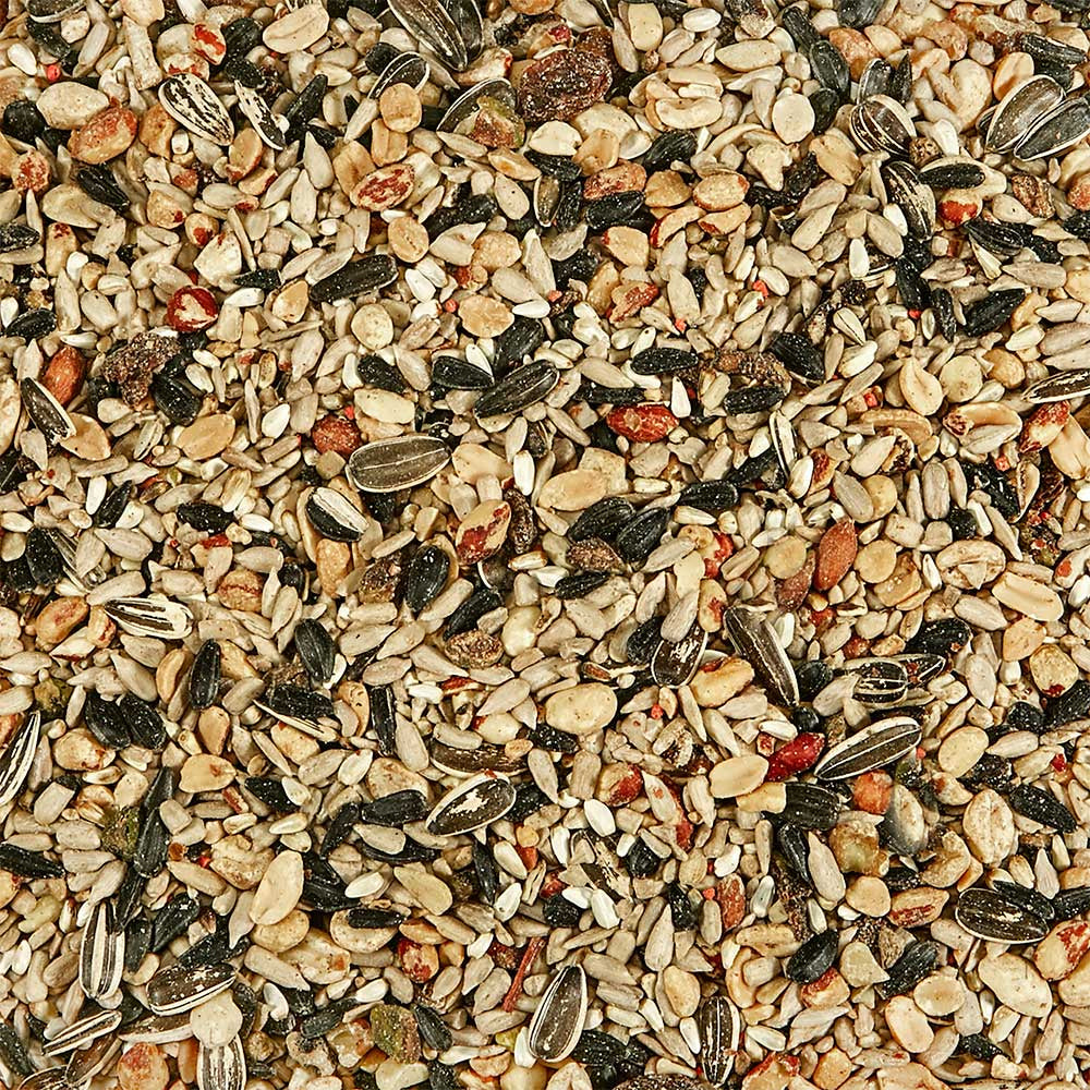 Treats of Kaytee Nut & Fruit Blend Wild Bird Food 5-lb