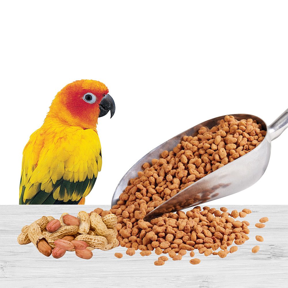 Treats of Kaytee Bonding Bites Bird Training Treats Peanut Butter 3-oz