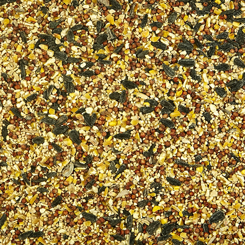 Treats of Kaytee Wild Bird Food 10-lb