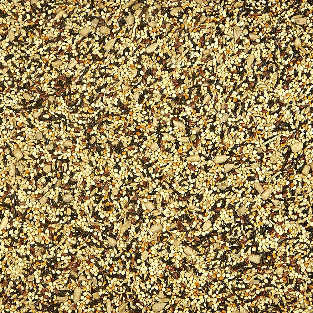 Treats of Kaytee Wild Finch Blend Wild Bird Food 3-lb 
