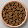 Cat Treats