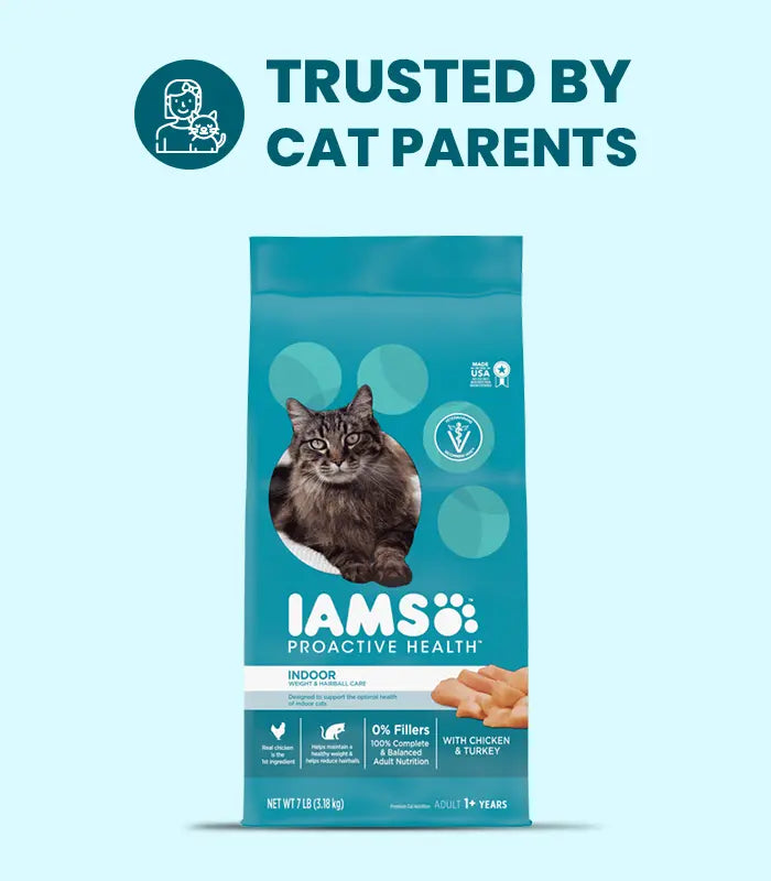 Dry Food For Cats
