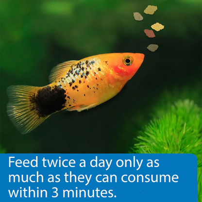 Usage of API Tropical Premium Flakes Fish Food 1.1-oz