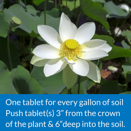 Usage of API Pond Aquatic Plant Food Tablets 25 Count
