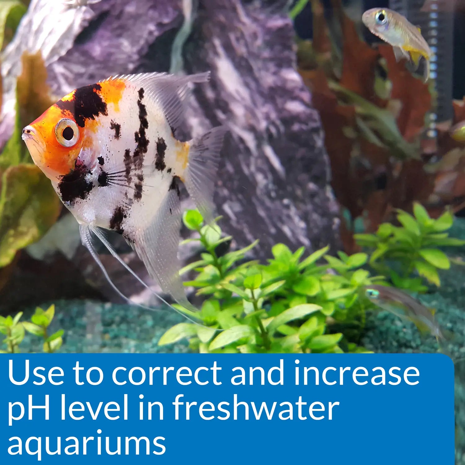 Usage of API pH Up Freshwater Aquarium Water Treatment 1.25-oz