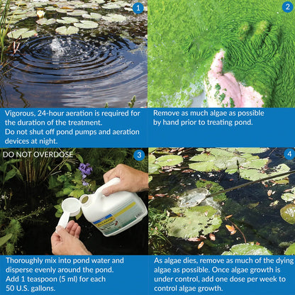Usage 2 of API Pond AlgaeFix Algae Control Solution 8-oz