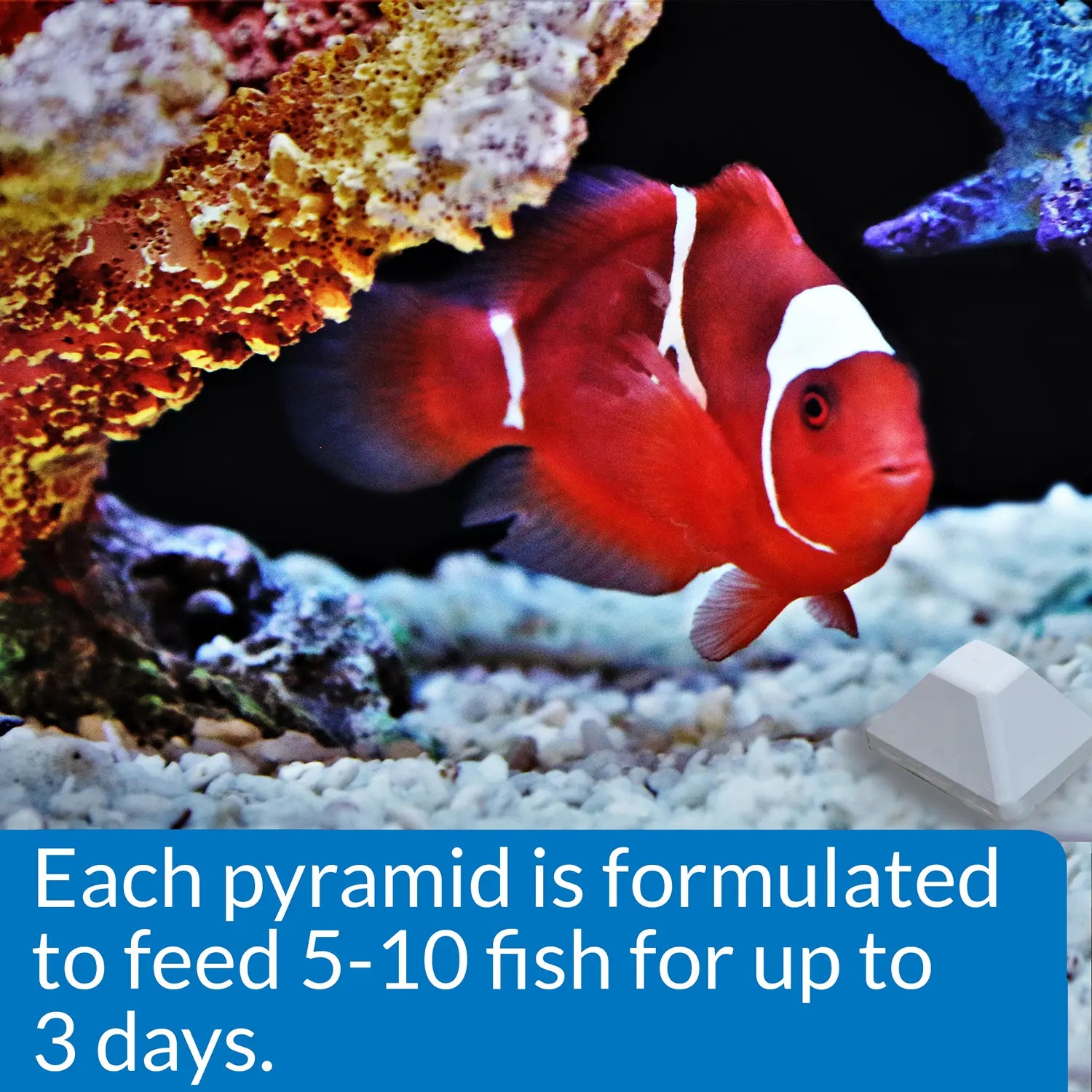 Usages Directions of API 3-Days Weekend Pyramid Fish Feeder 4 Count 1.4-oz