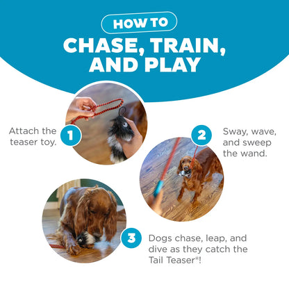 Usages Directions of Outward Hound Tail Teaser Dog Wand Toy with Refill Multicolor