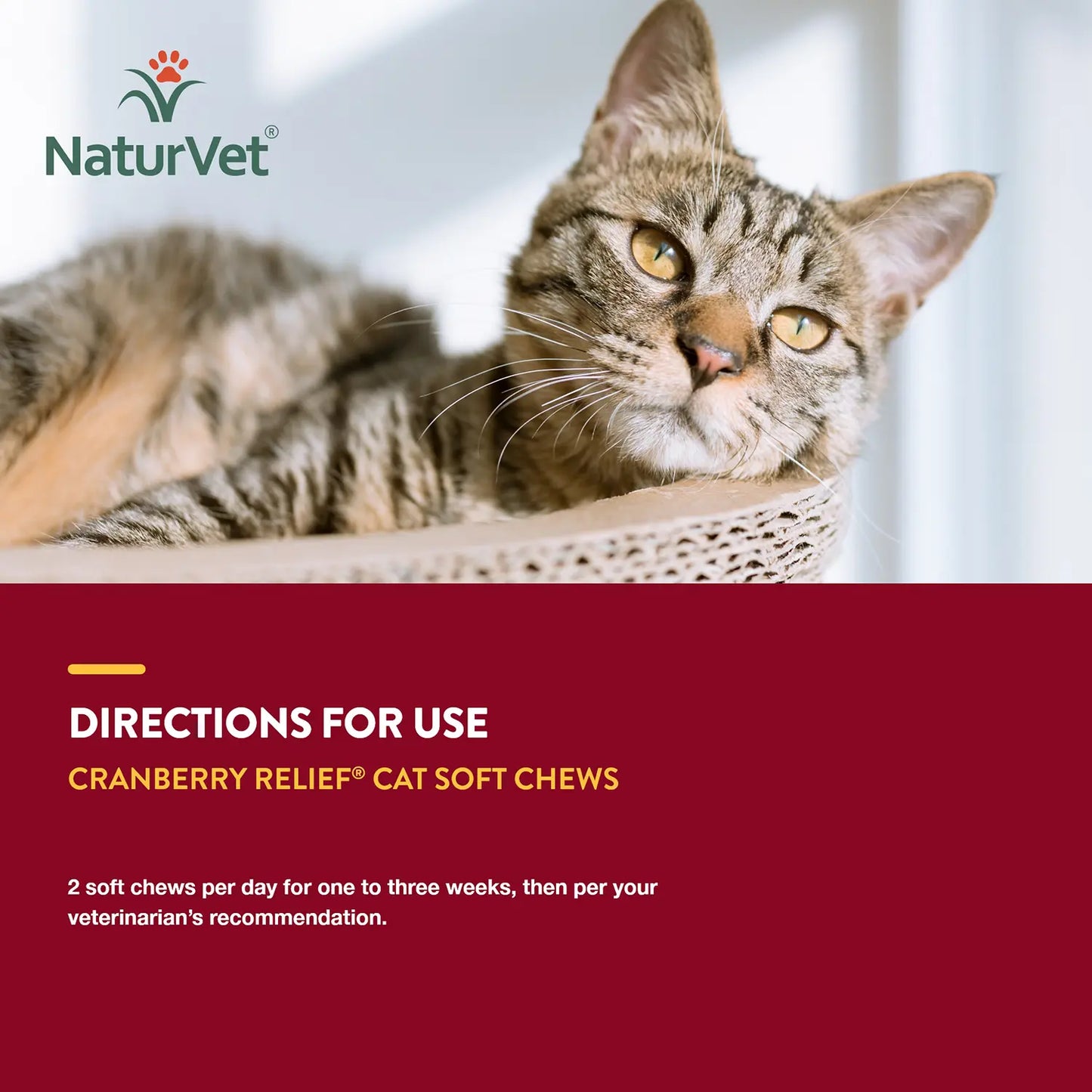 Usages Directions of NaturVet Cranberry Relief Plus Echinacea Soft Chews for Cats 60 Count 3.1-oz