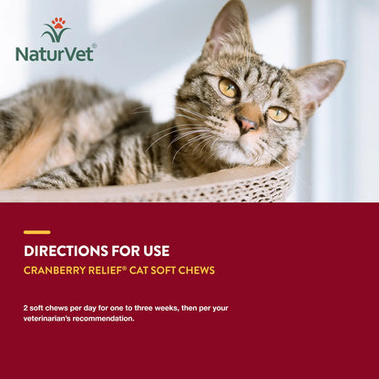 Usages Directions of NaturVet Cranberry Relief Plus Echinacea Soft Chews for Cats 60 Count 3.1-oz