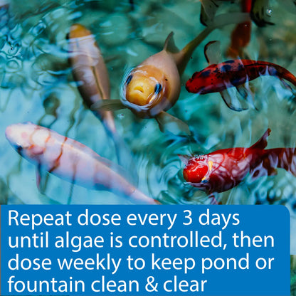 Usage of API Pond AlgaeFix Algae Control Solution 32-oz