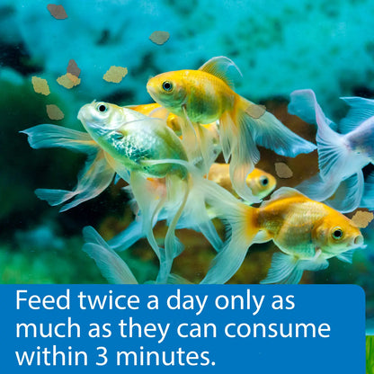 Usage of API Goldfish Premium Flakes Fish Food 5.7-oz