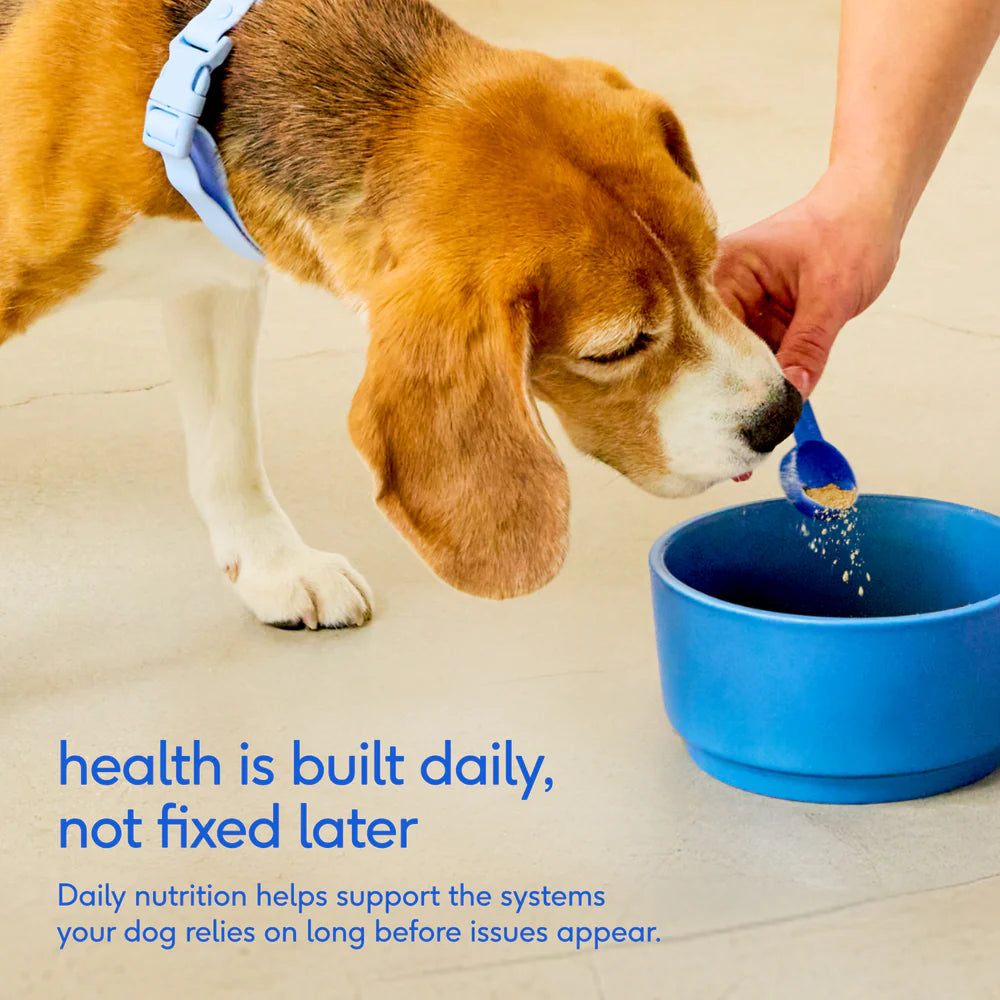 Native Pet The Daily Powder 11-in-1 Supplement for Dogs 7-oz, Kwik Pets