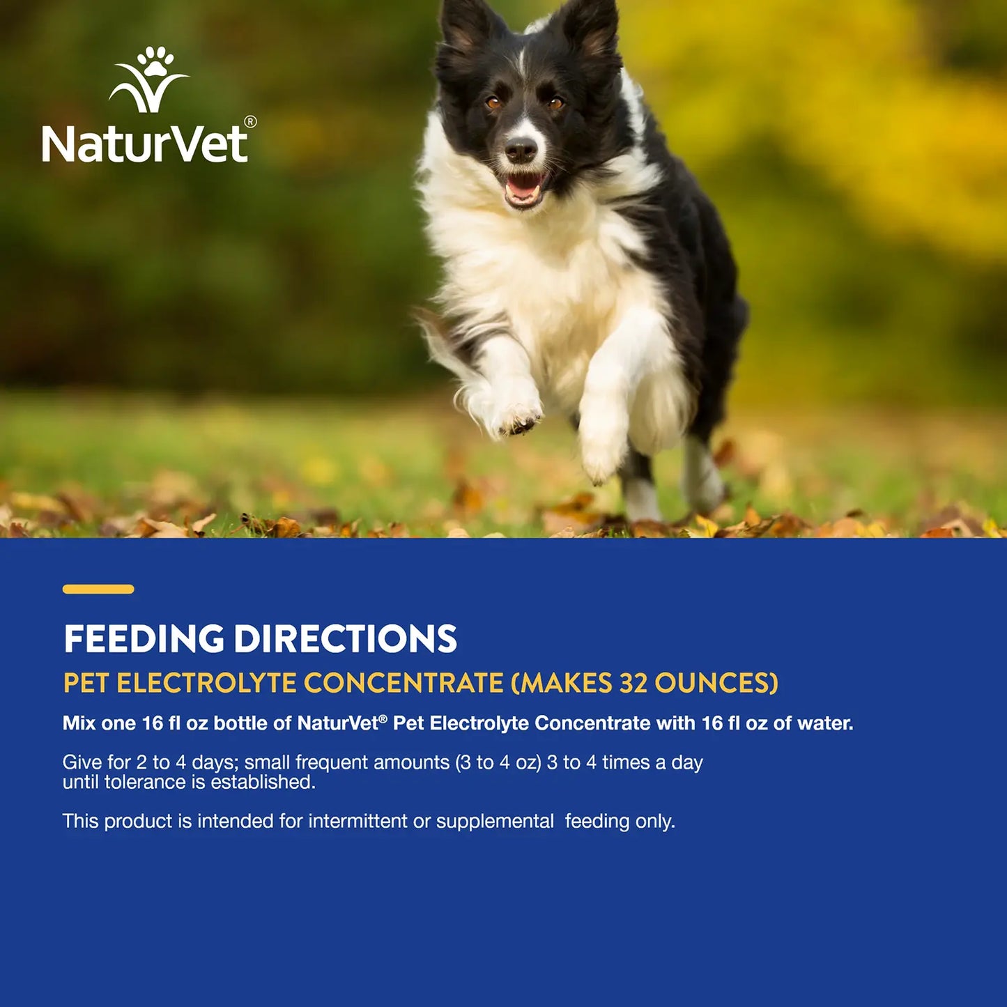 Usages Directions of NaturVet Pet Electrolyte Concentrate for Dogs & Cats 16-oz