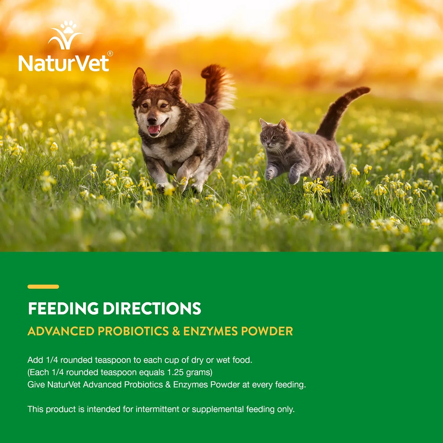 Feeding Directions of NaturVet Advanced Probiotic & Enzymes Powder for Dogs & Cats 4-oz