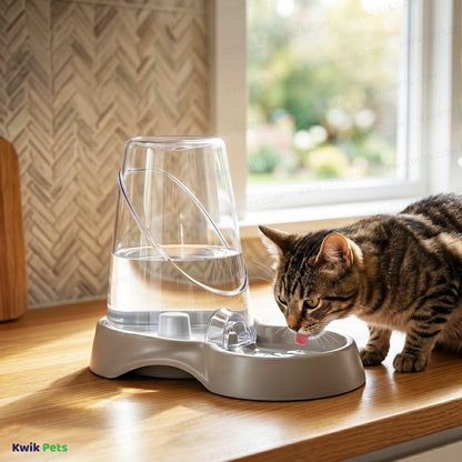 Lifestyle of Van Ness Plastics Auto Pet Feeder Assorted Small 3-lb