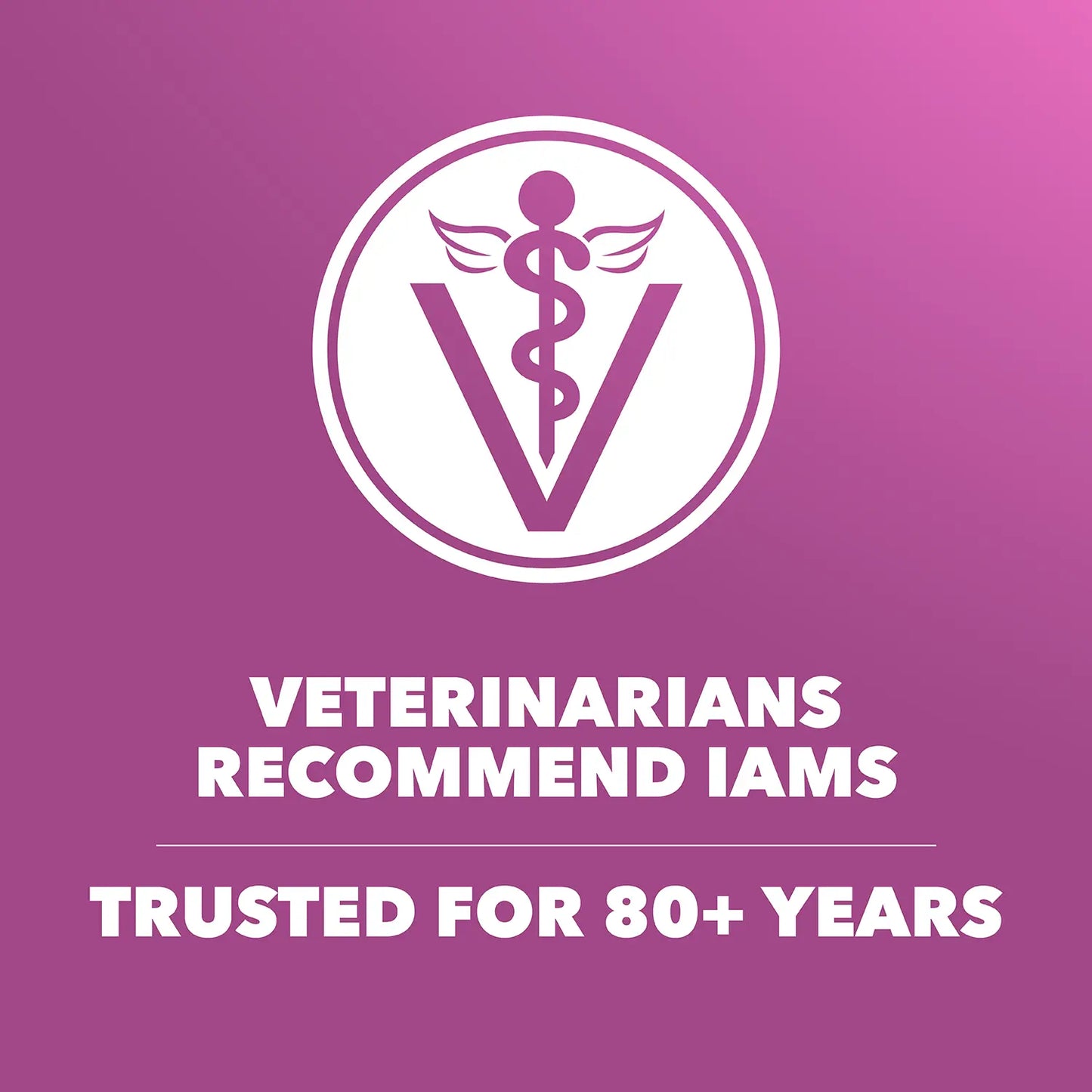Vet of IAMS Mature Adult Large Breed Senior Dry Dog Food Chicken 30-lb