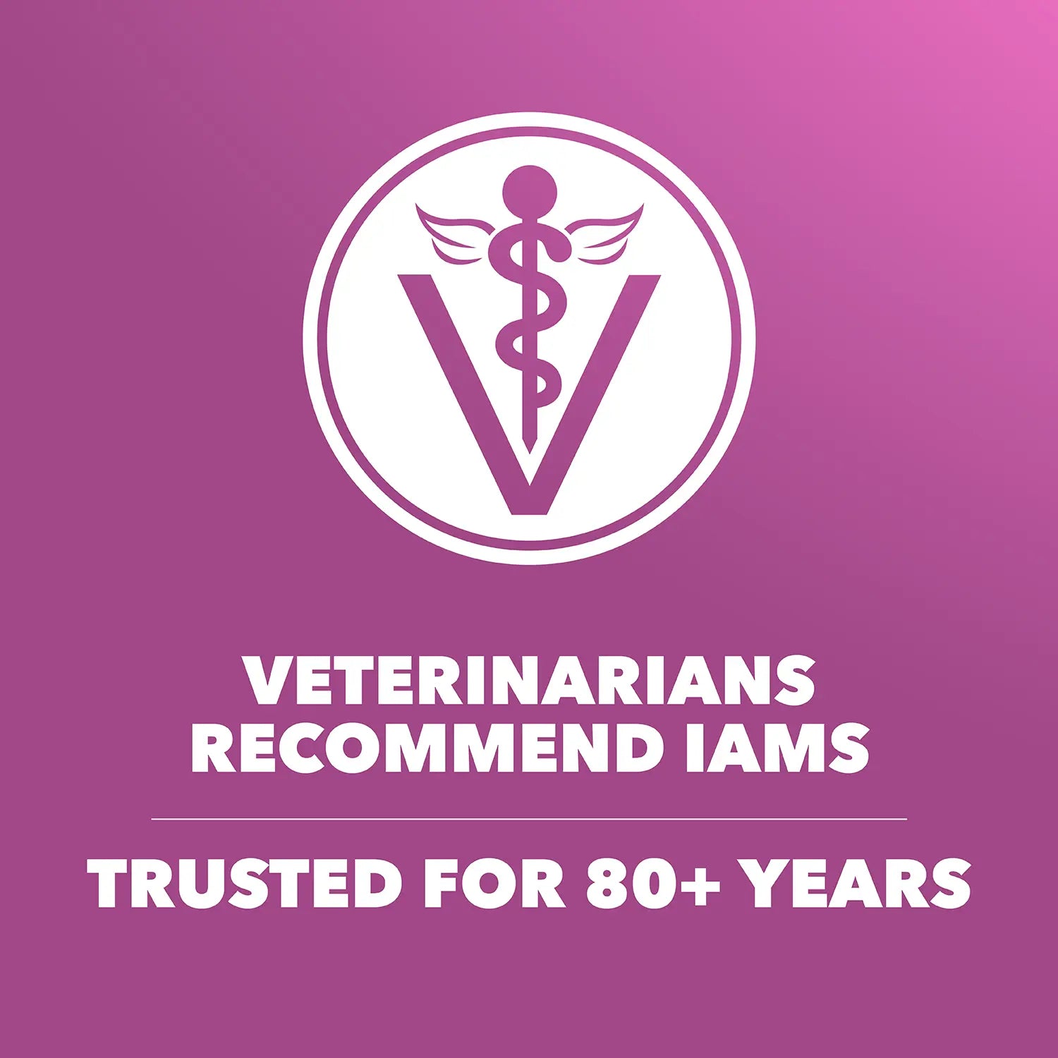 Vet of IAMS Mature Adult Large Breed Senior Dry Dog Food Chicken 30-lb