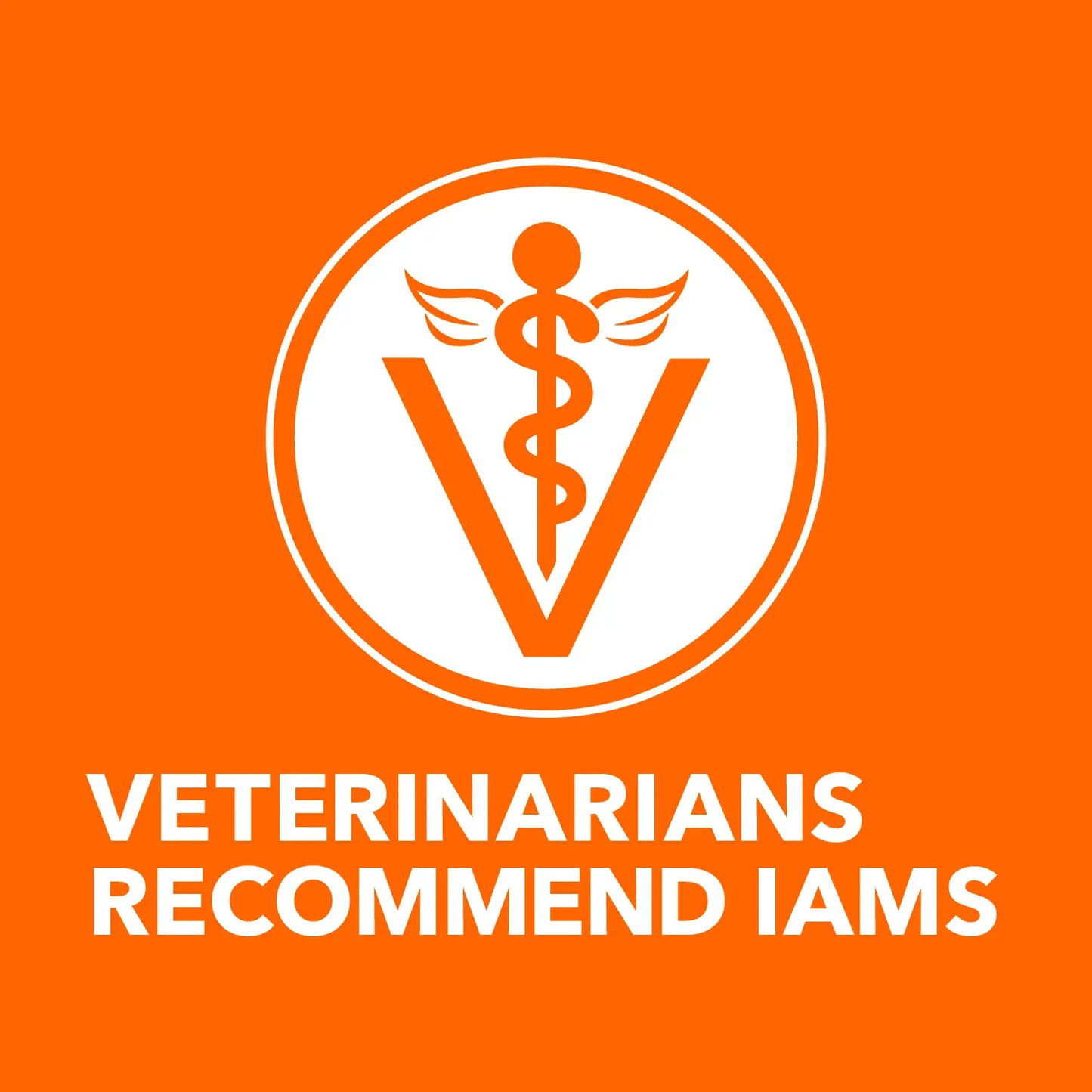 Vet of IAMS ProActive Health Healthy Enjoyment Adult Dry Cat Food Chicken & Salmon 6-lb