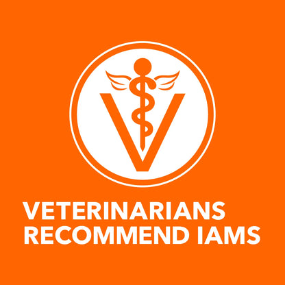 Vet of IAMS ProActive Health Healthy Enjoyment Adult Dry Cat Food Chicken & Salmon 6-lb