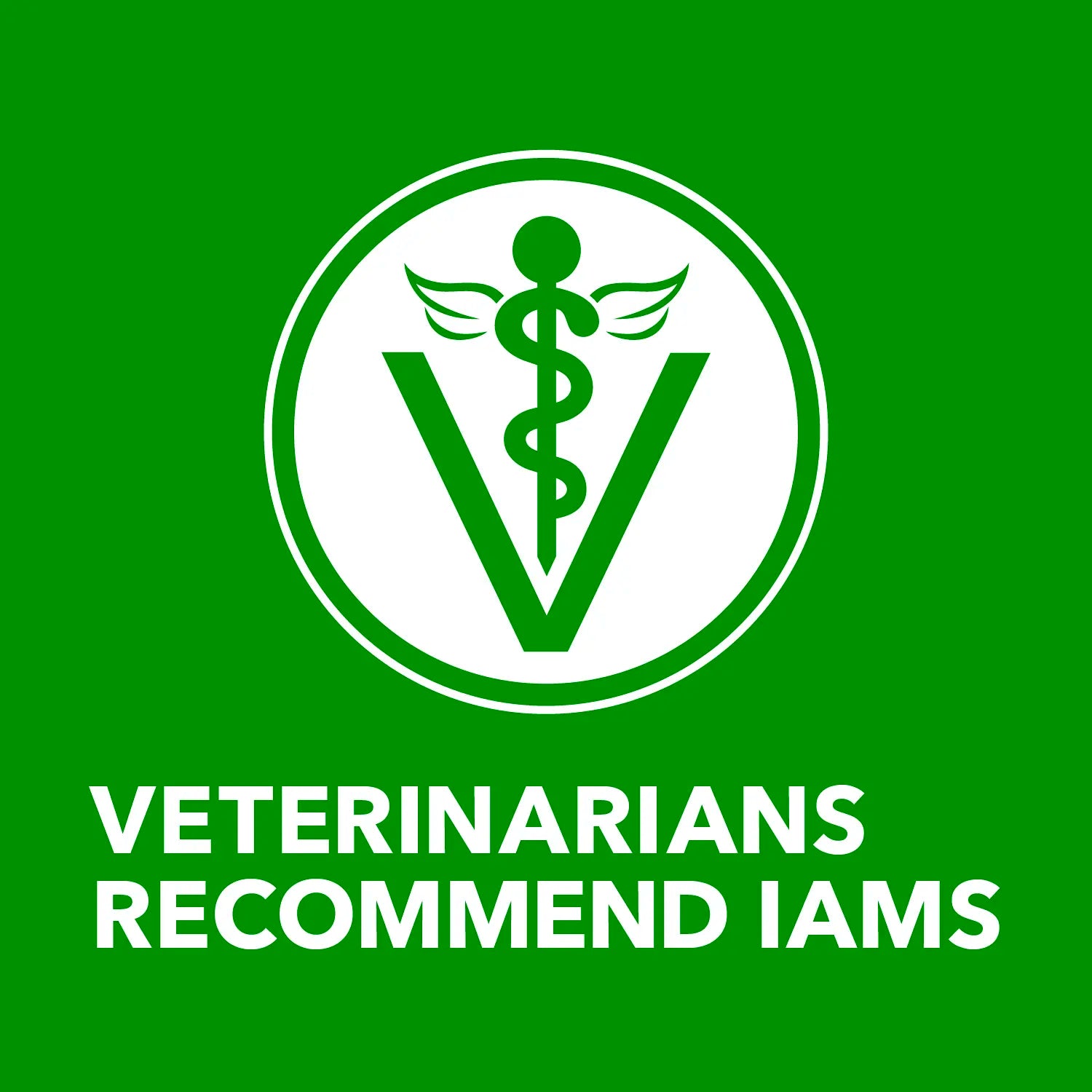 IAMS Proactive Health Adult Wet Dog Food Pate with Chicken & Rice 6 Count 13-oz, Kwik Pets